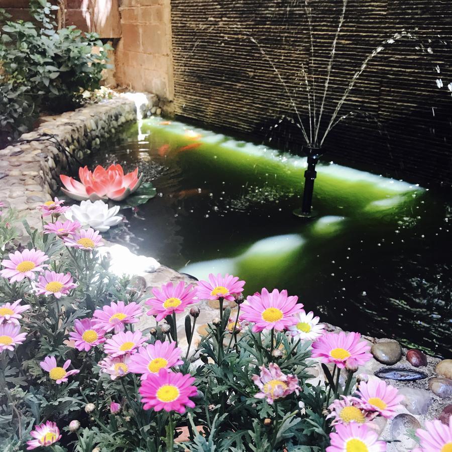 Lijiang Shui Lian Yi Boutique Inn エクステリア 写真